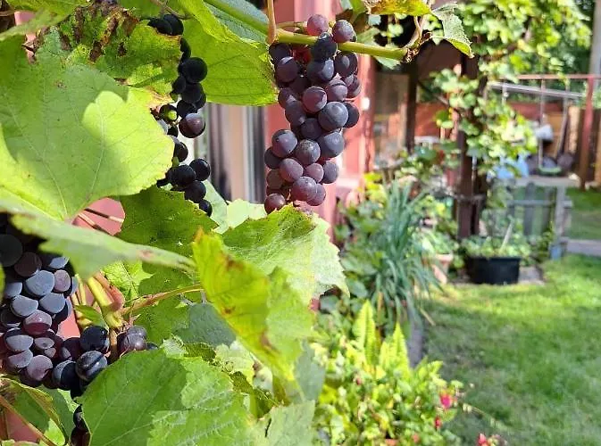 Alloggio in famiglia Mak *