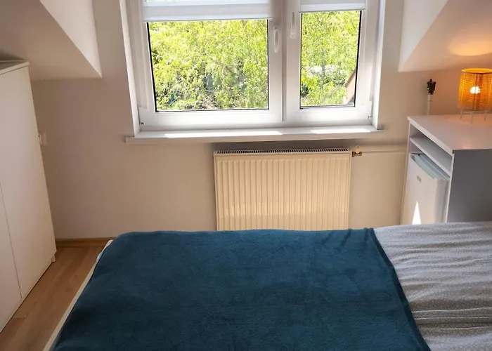 民宿 麦克民宿 *